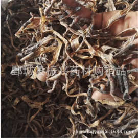 蟲類藥材在藥品批發(fā)中的價值與挑戰(zhàn)